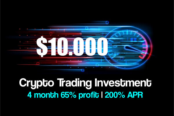 LONG TERM CRYPTO INVESTMENT